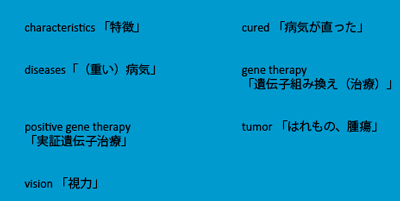 important vocabulary